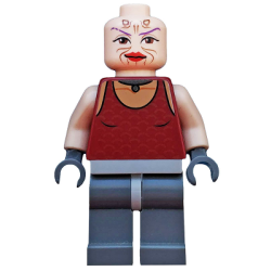 Sugi Lego® - sw0305