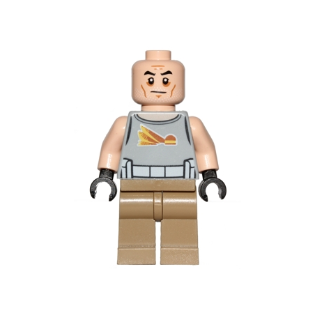 Commander Gregor Lego® - sw0748