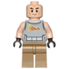 Commander Gregor Lego® - sw0748