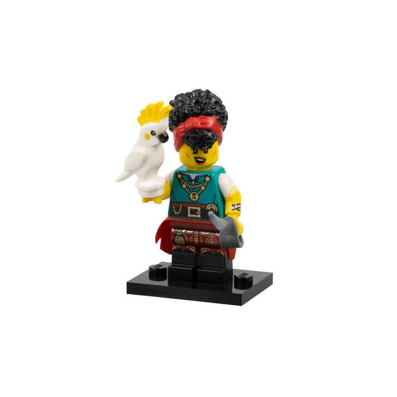 Pirate Quartermaster Série 27 Lego® - col27-10