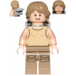 Luke Skywalker Dagobah