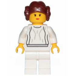 Princess Leia 20th Anniversary Torso