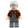 Garrick Ollivander - Bushy Hair with Bangs Lego® - hp119