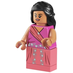 Padma Patil - Dark Pink and Coral Sari Lego® - hp260