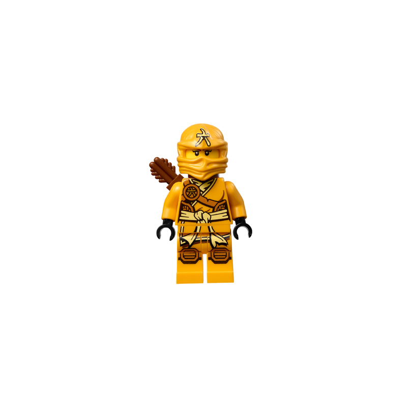 Skylor (Jungle Robe) - Tournament of Elements Lego® - njo135