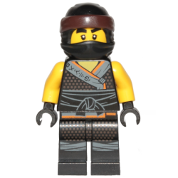 Cole - Sons of Garmadon Lego® - njo455