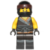 Cole - Sons of Garmadon Lego® - njo455