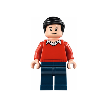 Dick Grayson - Classic TV Series Lego® - sh0236