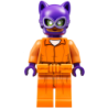 Catwoman - Orange Prison Jumpsuit Lego® - sh0338